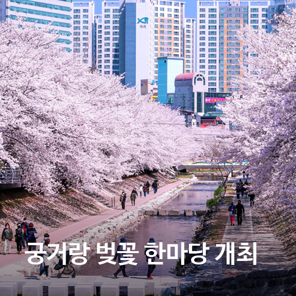 이미지 미리보기